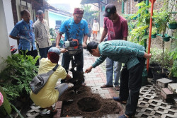 Pemkot Jogja Bakal Bangun Biopori Jumbo di Semua RTH