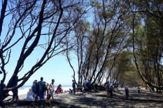 Pemkab Terapkan Layanan Tiket Online Beti Sakebon di Pantai Selatan Bantul
