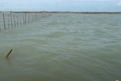 Pengamat Kritisi Kasus Pagar Laut Bekasi yang Hanya Berhenti di Tersangka