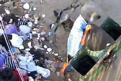 Tumpukan Sampah Liar Masih Ditemukan di Wilayah Sewon dan Banguntapan