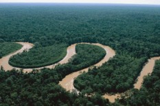 Indonesia Targetkan Rp16 Triliun dari Perdagangan Karbon
