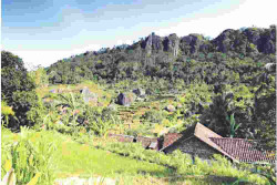 Kawasan Ekosistem Karst di DIY Jadi Kunci Pengendalian Kualitas Udara