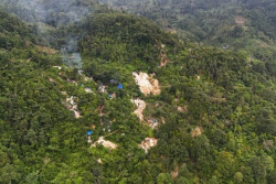 88 Lubang Tambang Ilegal di TNGHS Ditertibkan Kemenhut
