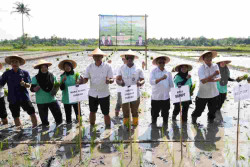 Sleman Kembangkan Kampung Peramalan Hama Pertanian
