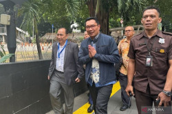 Ridwan Kamil Penuhi Panggilan KPK Terkait Kasus Korupsi Iklan Bank BJB