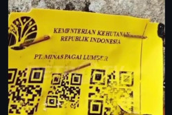 Polda Lampung Sebut PT Minas Punya Izin Kayu Log dari Kemenhut