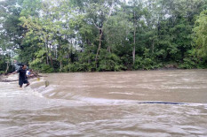 Hujan Lebat Picu Longsor, Luapan Sungai hingga Pohon Tumbang di DIY