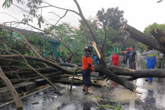 Waspada, Cuaca Ekstrem Akhir Tahun Picu Bencana di DIY