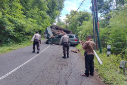 Tak Kuat Menanjak Truk Bermuatan Kayu Tabrak Mobil di Dlingo Bantul