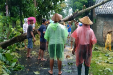 Sepanjang 2025, BPBD Catat 581 Bencana di Gunungkidul
