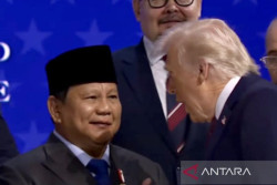Pemerintah Siapkan Dialog dengan MUI soal Keanggotaan Indonesia di BoP