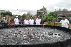 DP3 Sleman Sediakan Enam Jenis Obat Penyakit Ikan, Gratis