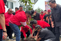Sekjen PDIP Hasto Kristiyanto Tanam Pohon dan Kuliah Umum di Jogja