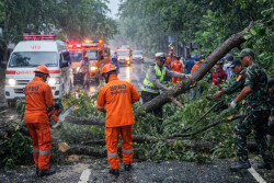 Cuaca Ekstrem Bantul Picu 25 Pohon Tumbang dan Ganggu Akses Jalan