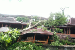 Cuaca Ekstrem Terjang Sleman, Rumah Rusak hingga Longsor