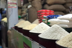 Food Bank Jogja 2026 Diperkuat, Lahan Tersisa 16 Hektare