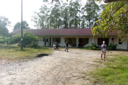 Kawanan Gajah Liar Rusak Perumahan Karyawan di Siak, Tiga Motor Hancur