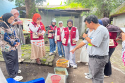 Edutrip Maggot di Kampung Cokrodiningratan Jogja, Warga Olah Sampah