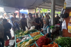 Harga Cabai Rawit Bantul Tembus Rp75.000, Belum Ada Operasi Pasar