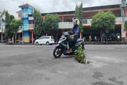 Jalan di Wonosari Digali Ilegal, DPUPRKP Gunungkidul Lapor Polisi