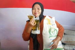 Bapanas-Bulog Percepat Bantuan Beras dan Minyak ke 33,2 Juta Warga