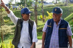 Hutan Rehabilitasi IKN Mulai Dihuni Satwa, Burung Kembali Berdatangan