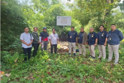 Kasus Pajak Developer PT PIP, DJP DIY Sita 10 Aset Senilai Rp768 Juta