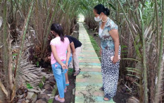 Produksi Hortikultura 2025 Perkuat Ketahanan Pangan di Sleman