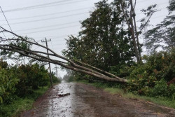 PLN Pulihkan 97 Persen Listrik Terdampak Cuaca Ekstrem di Jateng