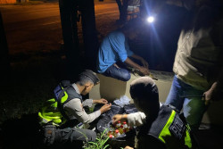 Polres Bantul Razia Miras di Trirenggo, 60 Botol Ciu Berhasil Disita