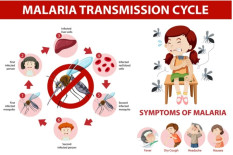 Kasus Malaria di Timika Capai 7.233 pada 2025, Kebun Siri Tertinggi