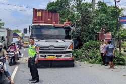 Truk Kontainer Tabrak Pohon di Prambanan Klaten
