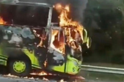 Bus Pariwisata Terbakar di Tol Cipali, Diduga Korsleting