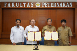 UGM dan DPKP Sepakat Melatih 585 Peternak Kambing dan Domba DIY