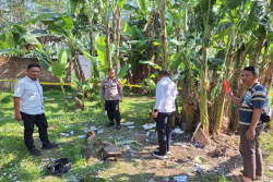 Ledakan Petasan di Pekalongan Tewaskan Remaja di Kebun Pisang