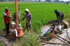 Cegah Gagal Panen, Bantul Perkuat Irigasi dengan 5.000 Pompa