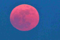 Puncak Pink Moon 2 April 2026, Bisa Dilihat di Indonesia
