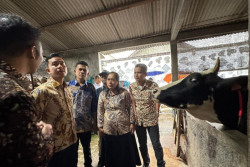 Gibran Dorong Pabrik Pakan untuk Perkuat Peternakan Boyolali