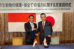 Diplomasi Hijau, Indonesia-Jepang Kerja Sama Konservasi Komodo