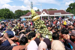 Filosofi Pitulungan di Tradisi Gerebeg Ketupat Kabupaten Magelang