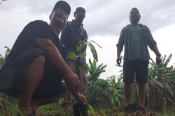 Cegah Erosi Lintas Generasi, Kali Kuning Dihijaukan