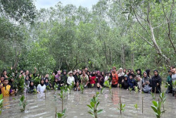 Telkom Dorong Konservasi Bekantan dan Mangrove di Tarakan