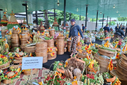 Kisah di Balik 3.000 Pamong Gunungkidul di Kirab HUT Sultan HB X