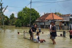 Banjir Demak Belum Reda Usulan Bendungan Baru Menguat