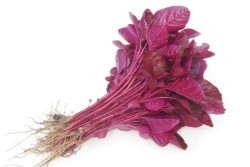 Bayam Ungu Termasuk Superfood, Ini Khasiatnya untuk Tubuh