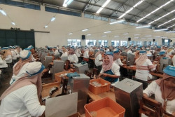 Pabrik Rokok di Kudus Tetap Beroperasi, WFH Dinilai Tak Efektif