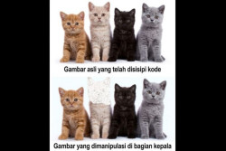 Gambar Editan Kini Bisa Terbongkar dengan Metode Ini