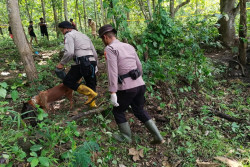 Heboh Kerangka Manusia Ditemukan di Hutan Wonogiri, Polisi Selidiki