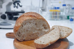 BRIN Olah Beras Merah Gunungkidul Jadi Sourdough Bernilai Gizi Tinggi