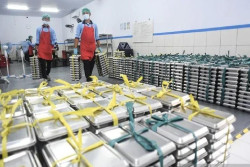 Program MBG Dievaluasi, 500 Lebih Dapur Disetop Sementara